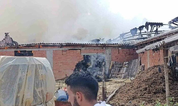 Bilecik’te samanlık alanda yangın çıktı