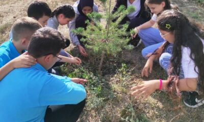 Hisarcık AİHL’de ilk ders, “Yeşil Vatan”