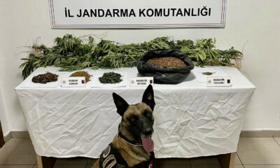 Uyuşturucu operasyonunda 1 kişi tutuklandı