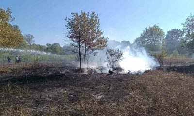 Bilecik Pazaryeri’nde arazi yangını çıktı
