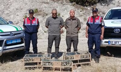 DKMP ekipleri izinsiz yakalanan şaka kuşu ele geçirdi