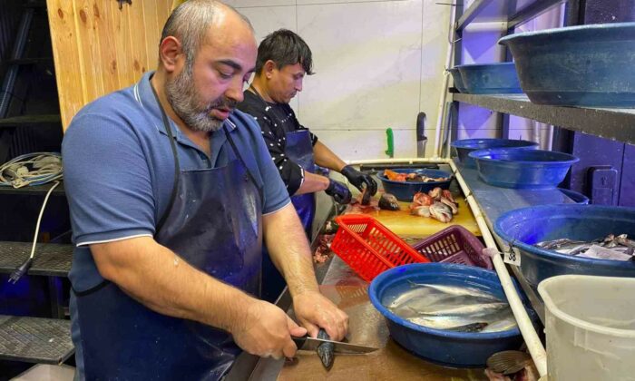 Balık sezonu bereketli başladı