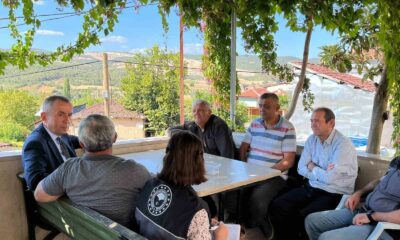 Çukurören biberine yakın ilgi