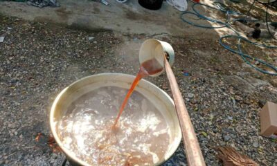 Geleneksel pekmez mesaisi başladı