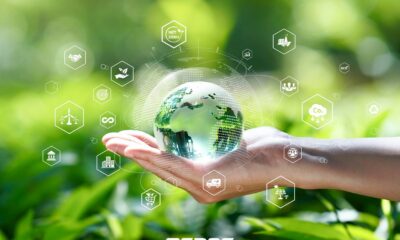 OEDAŞ’tan emisyonları azaltmak için 5 maddelik yol haritası