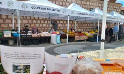 Gölpazarı’nda kültür ve yöresel lezzetler buluşması