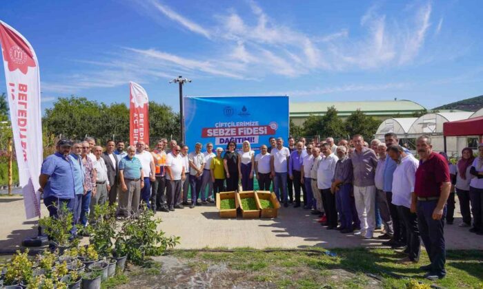 77 bin 400 fide toprakla buluşmak üzere çiftçilere dağıtıldı