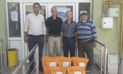 Osmaneli’nde çiftçilere kanola tohumu desteği