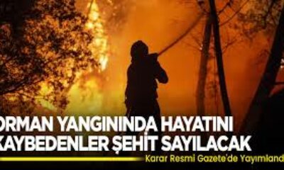 Orman yangınında hayatını kaybeden vatandaşlarımız şehit sayılacak
