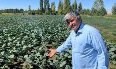 Çiftçilerin kullandığı kuyu suları 2 metreye kadar indi