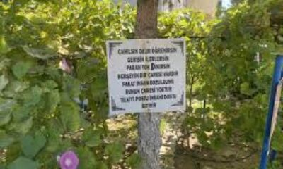 Bayram amcanın bahçeye yerleştirdiği özlü sözler dikkat çekiyor