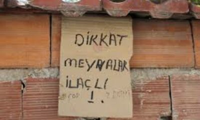 Eskişehir’de şaşırtan uyarı