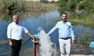 Beylikova Belediyesi’nden kuraklığa karşı örnek proje