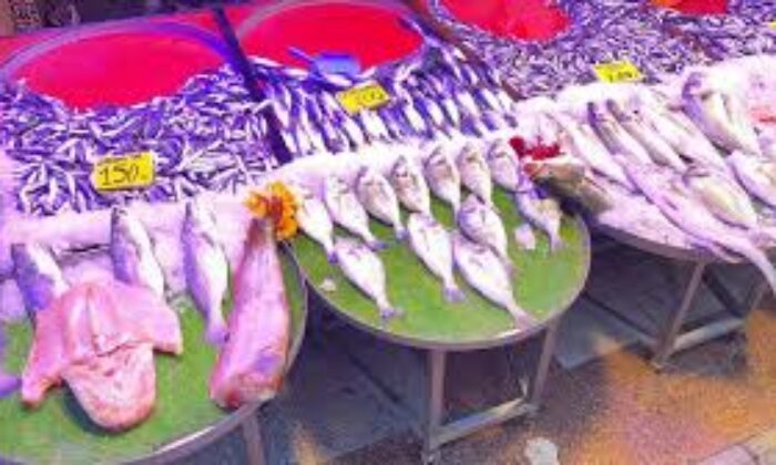 Balık sezonu bereketli başladı