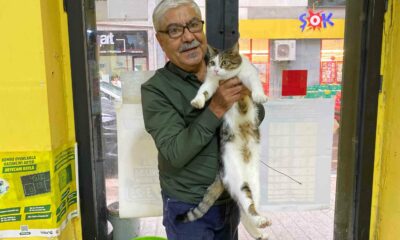 İki defa terk edilen kediye işletmeci sahip çıktı
