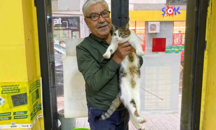 İki defa terk edilen kediye işletmeci sahip çıktı