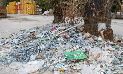 Baksan Sanayi Sitesi’nde ağacın çevresindeki moloz ve sanayi atıklarına tepki
