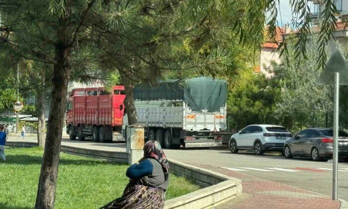 Kentin cadde ve sokaklarını ağır tonajlı araçların işgal etmesine vatandaşlar tepkili