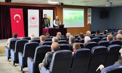Bozüyük ormanları sertifikalandırılıyor