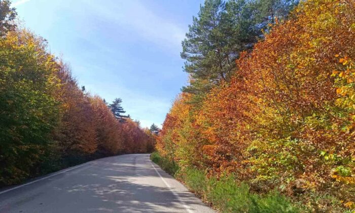 Bozcaarmut’da sonbahar büyüsü