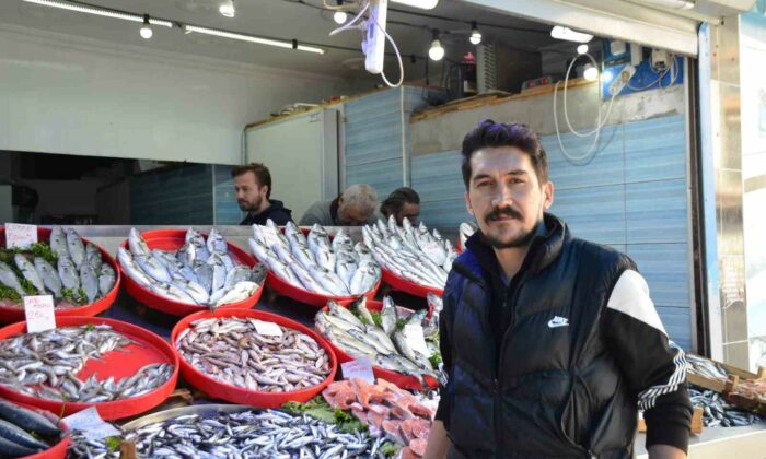 Mevsiminin en lezzetli balıkları hamsi ve sardalya