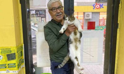 İki defa terk edilen kediye işletmeci sahip çıktı