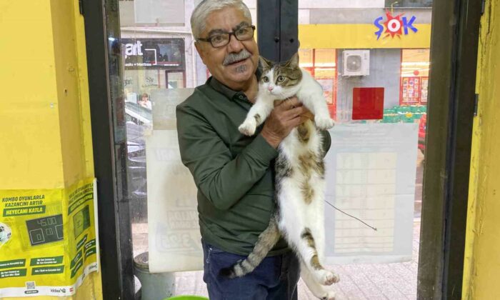 İki defa terk edilen kediye işletmeci sahip çıktı