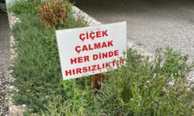 Bahçesinden sürekli çiçek çalınan apartmanın yöneticisinden ilginç uyarı